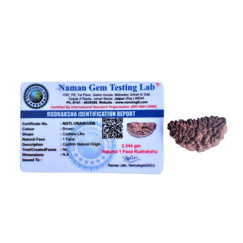 Natural 1 Mukhi Rudraksh