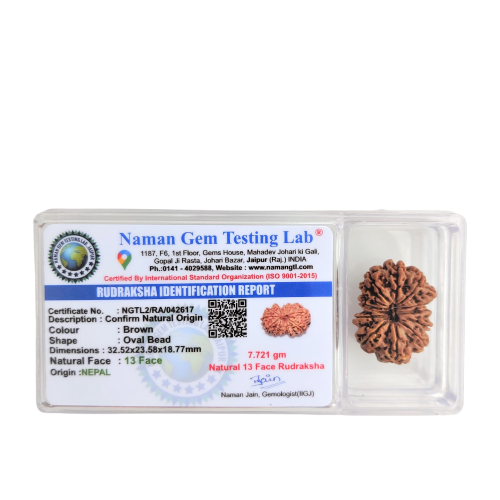 Natural 13 Mukhi Collector Rudraksh