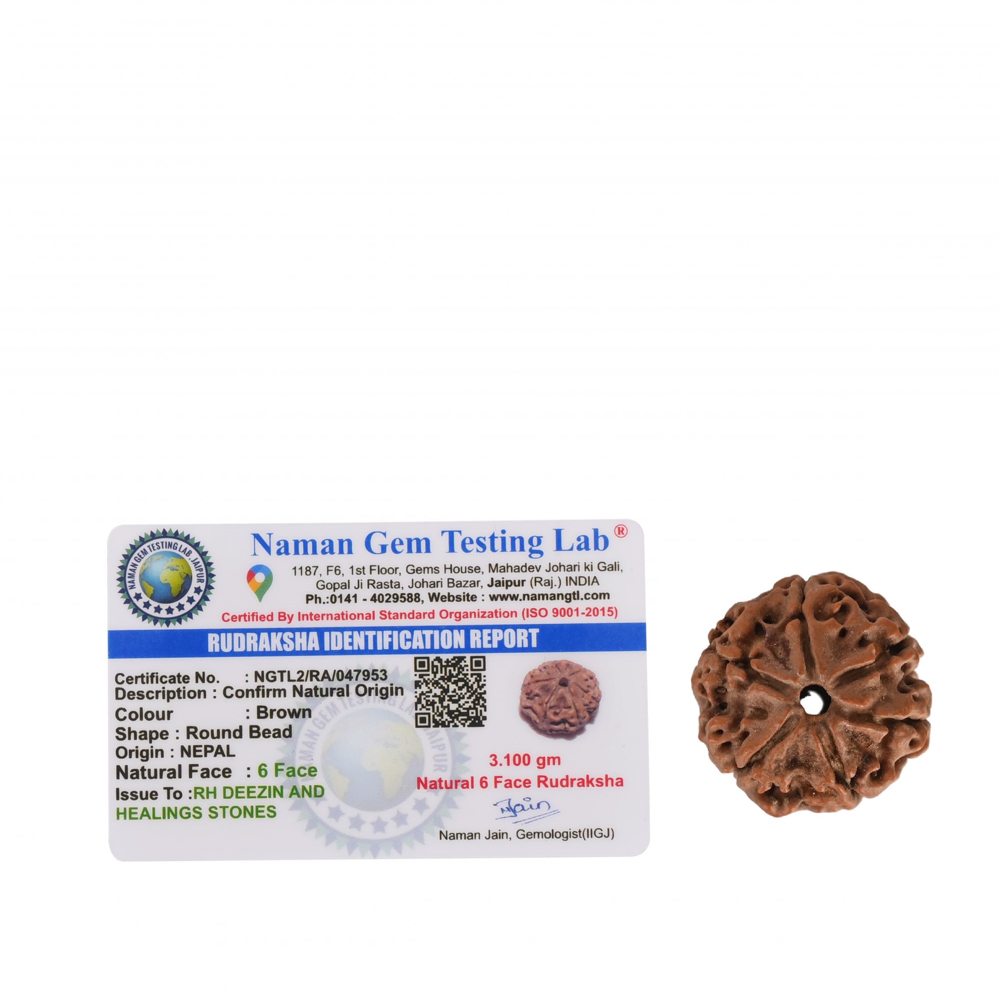 Natural 6 Mukhi RudrakshNepali