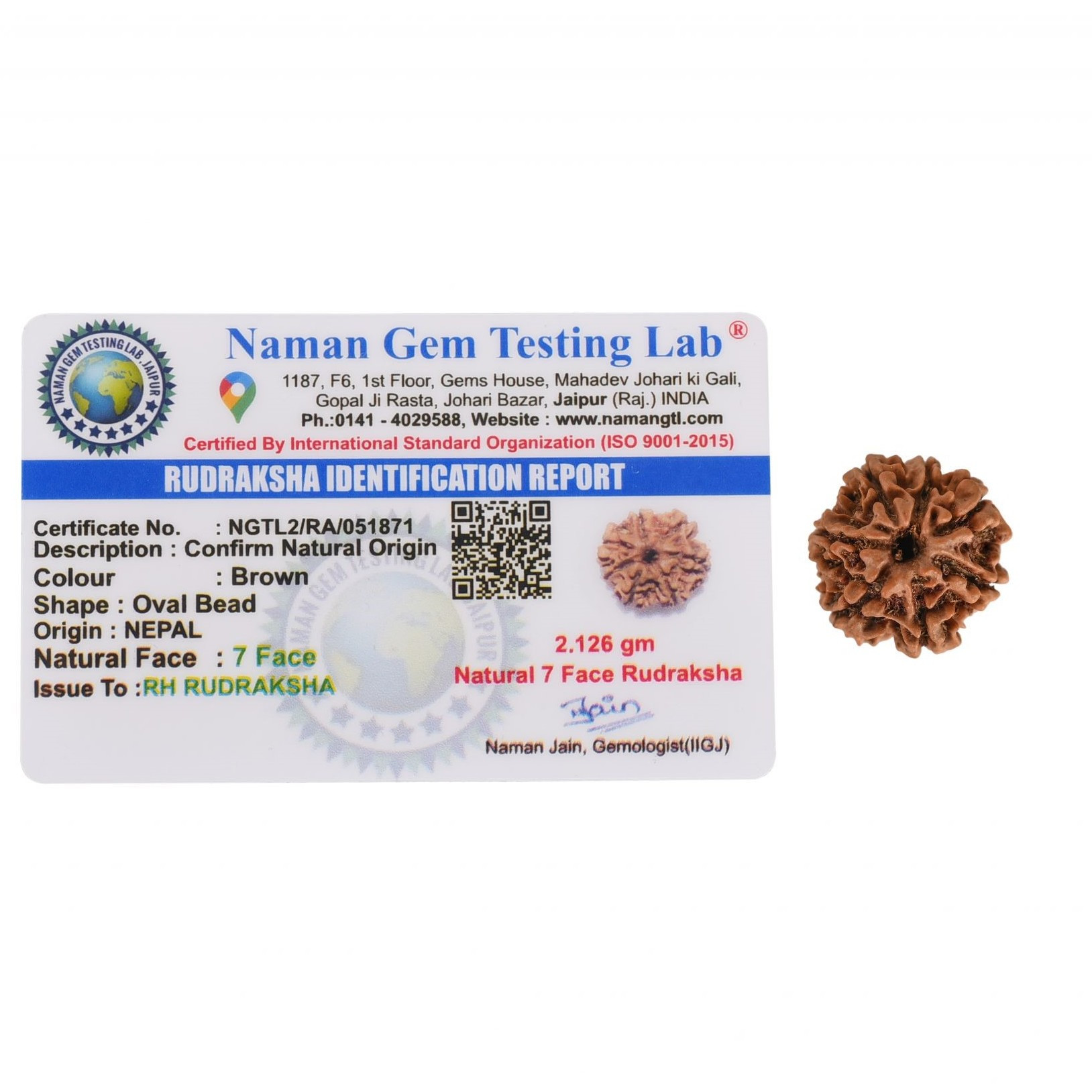 Natural 7 Mukhi Rudraksh Nepali