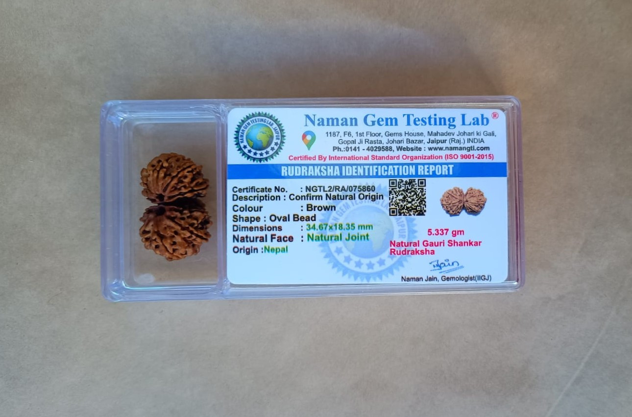 Natural Gauri Shankar Collector Rudraksh Nepali