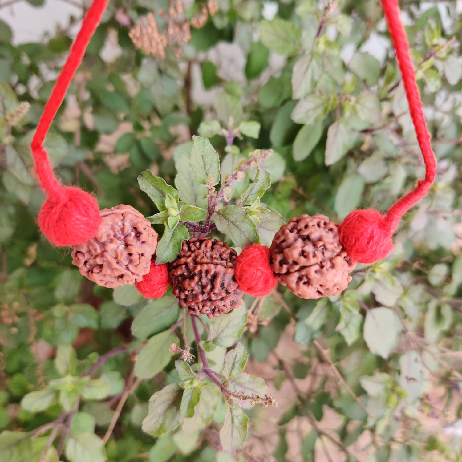 Saraswati Bandh Combination - For students