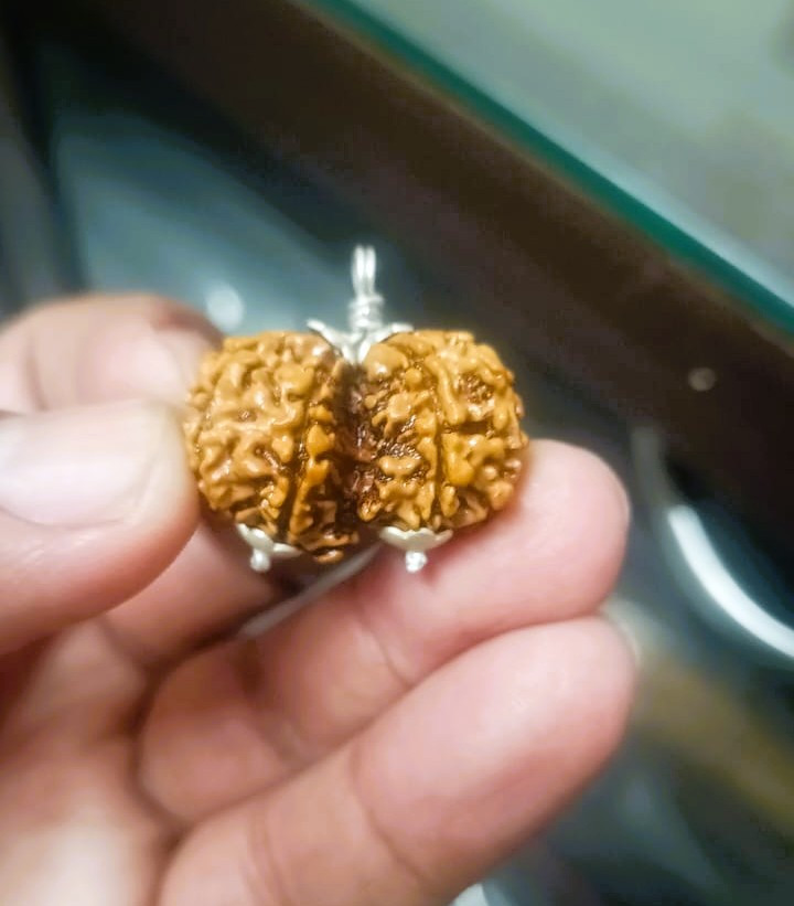 Natural Gauri Shankar Collector Rudraksh Nepali