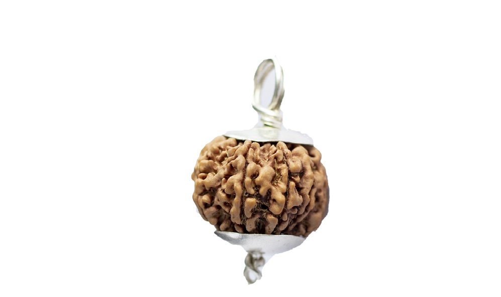 Natural 9 Mukhi Rudraksh Nepali