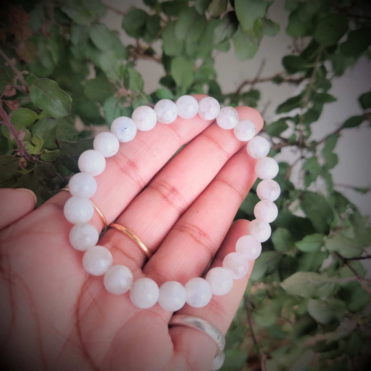 Moonstone Bracelet AAA QUALITY