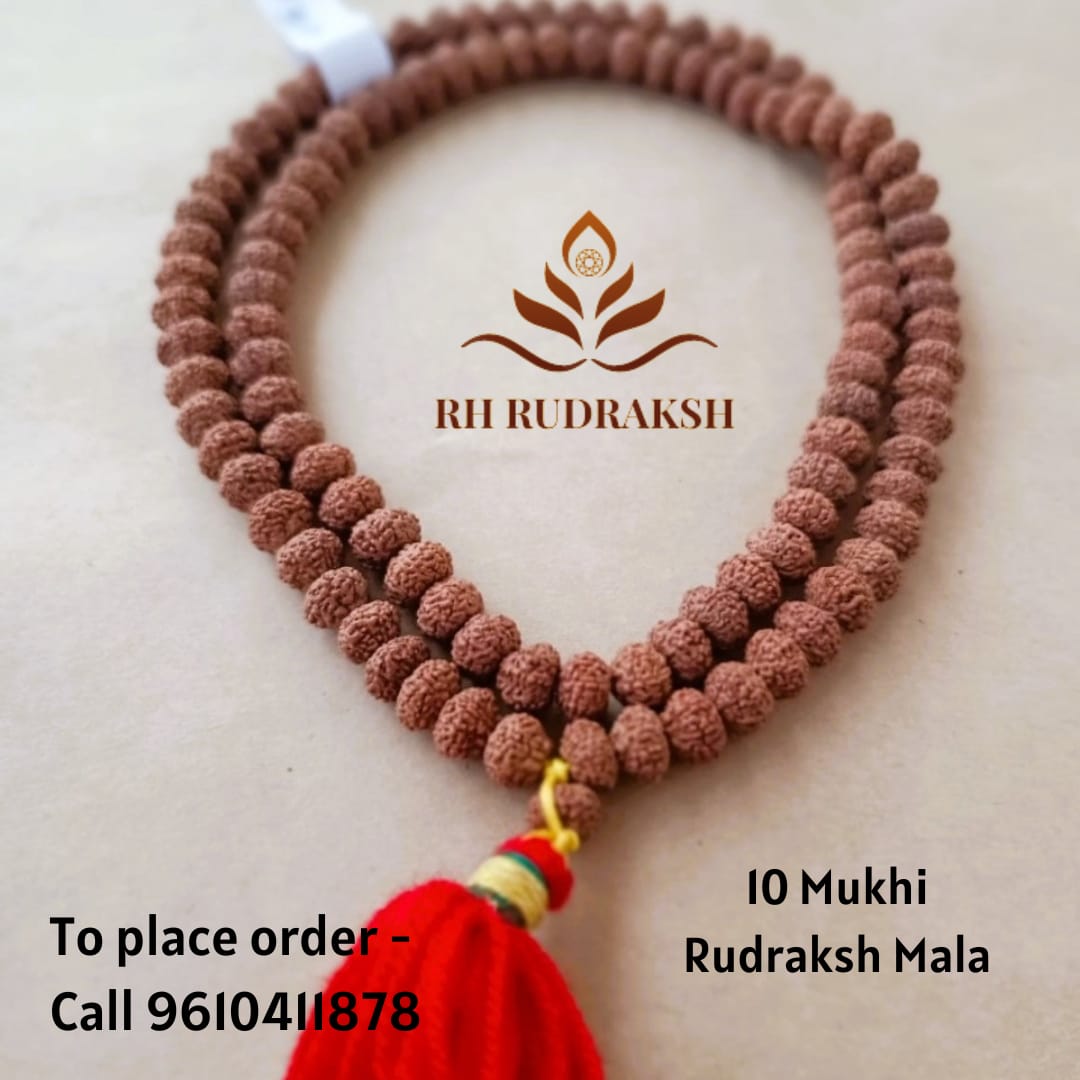 10 Mukhi Rudraksh Mala 9MM