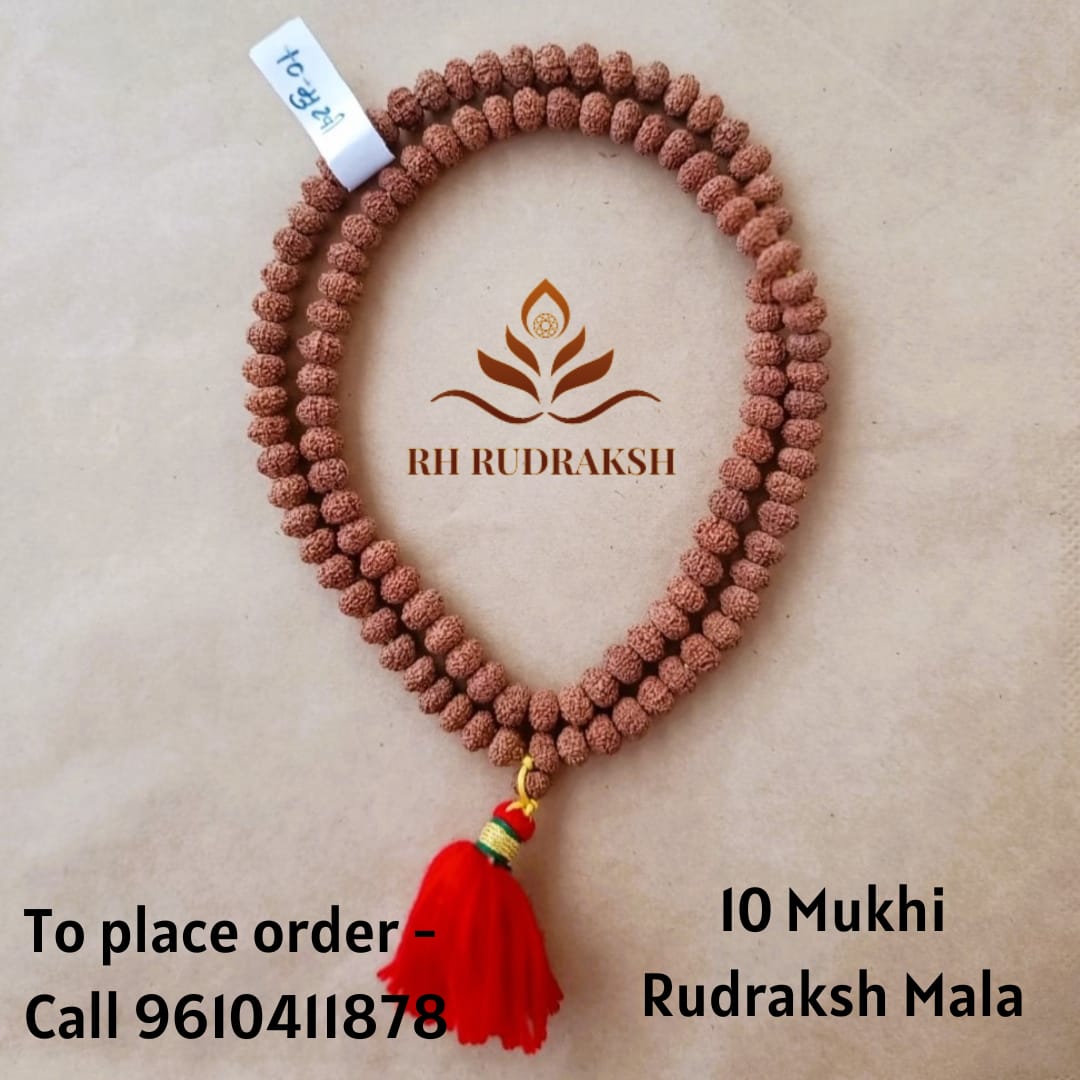 10 Mukhi Rudraksh Mala 9MM