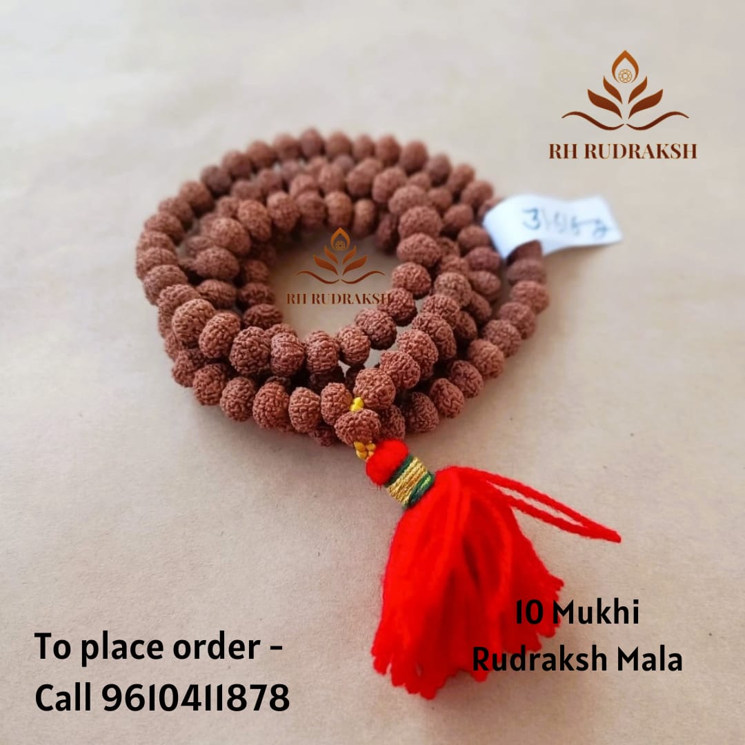 10 Mukhi Rudraksh Mala 9MM