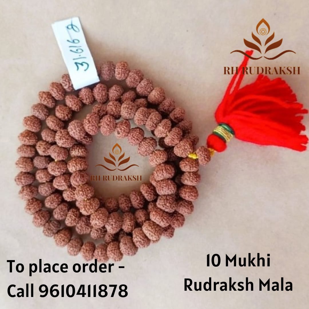 10 Mukhi Rudraksh Mala 9MM
