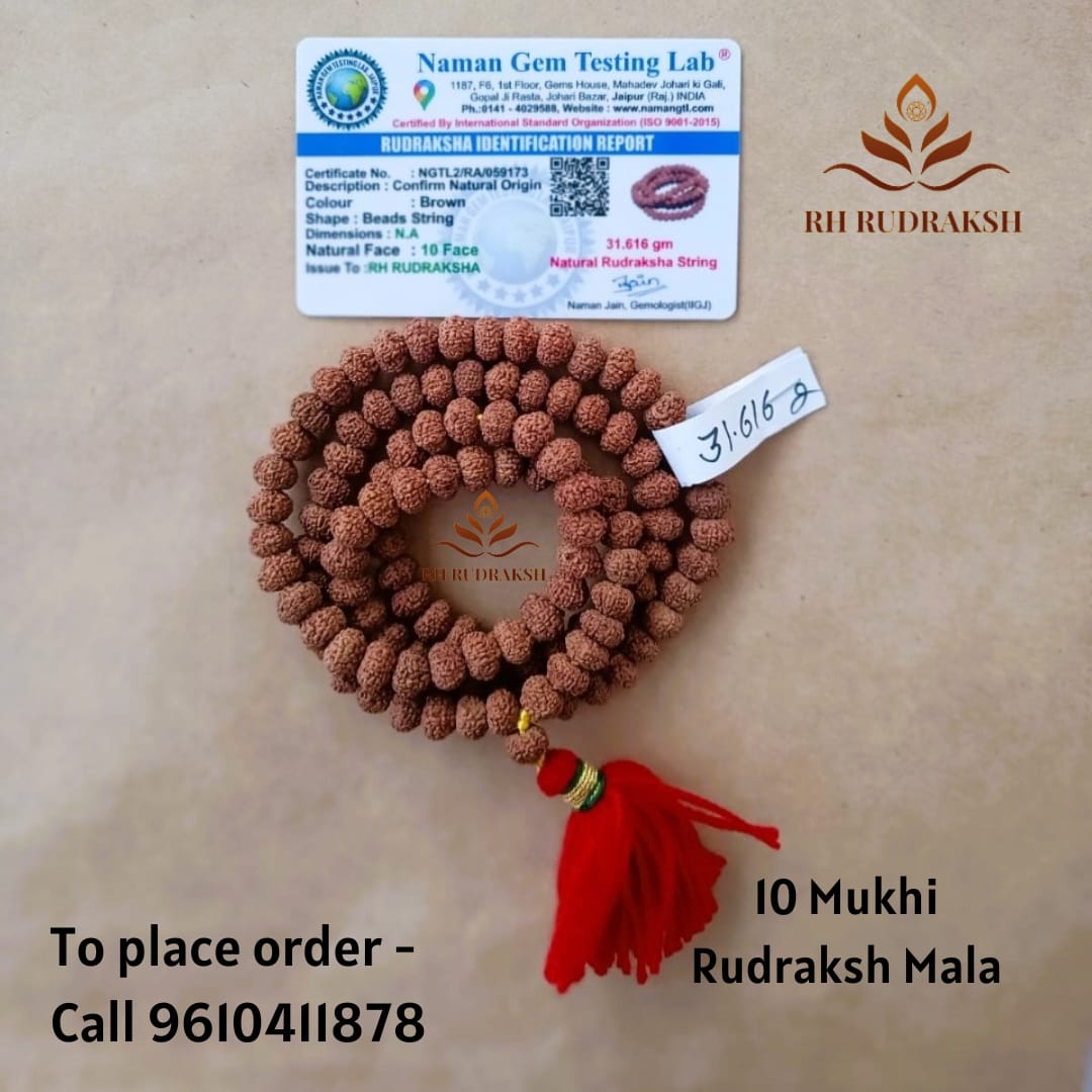 10 Mukhi Rudraksh Mala 9MM