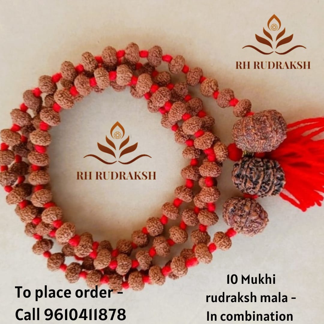 10 Mukhi Rudraksh Mala with 10 Mukhi Nepali Rudraksh Beads