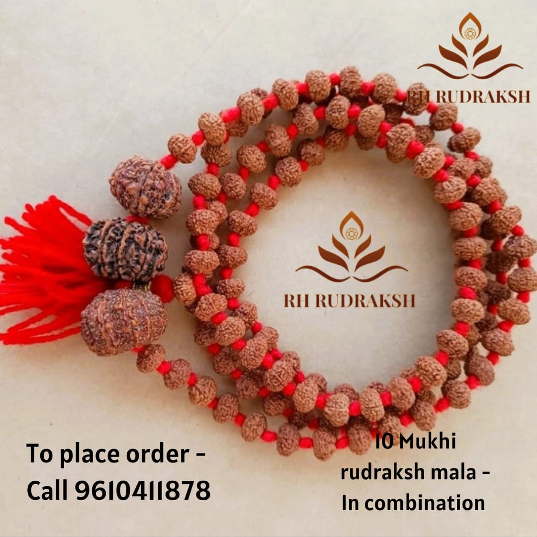 10 Mukhi Rudraksh Mala with 10 Mukhi Nepali Rudraksh Beads