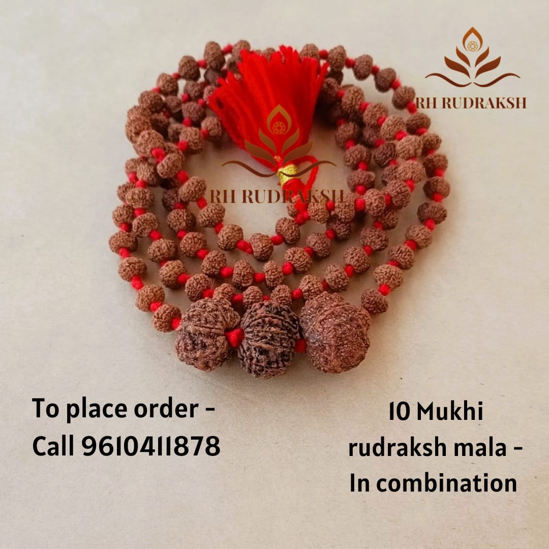 10 Mukhi Rudraksh Mala with 10 Mukhi Nepali Rudraksh Beads