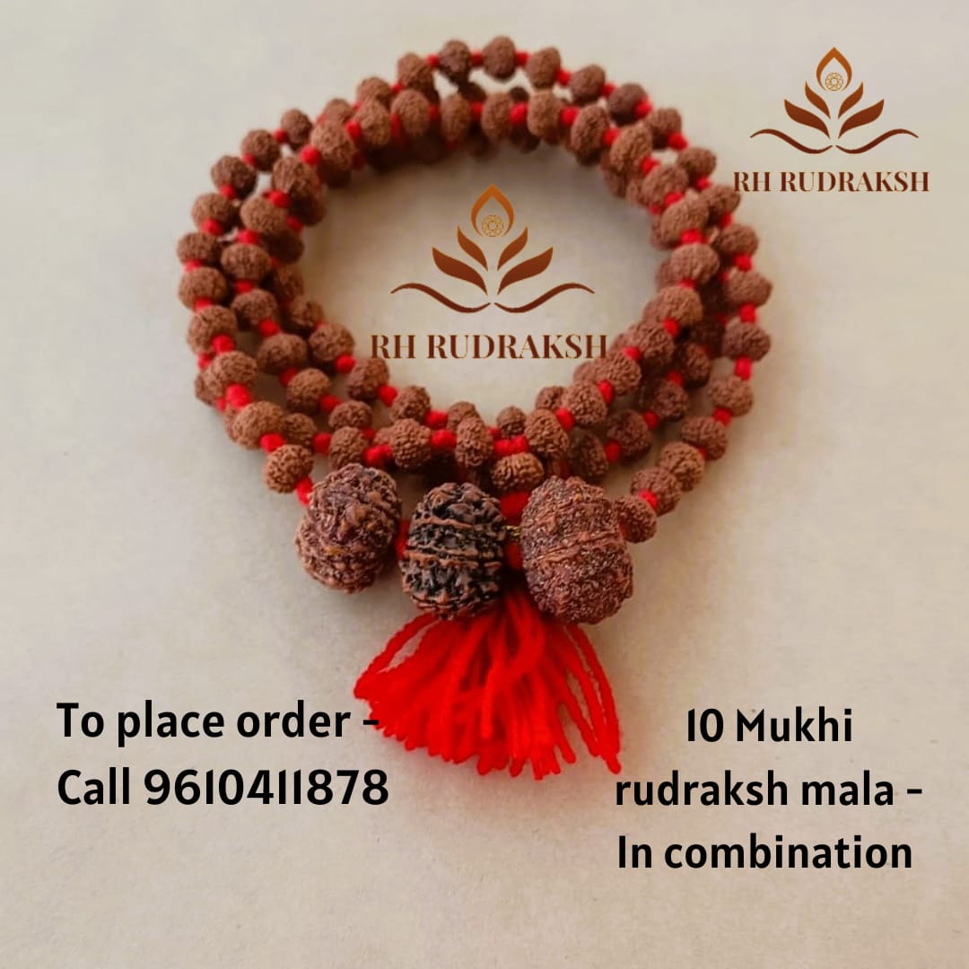 10 Mukhi Rudraksh Mala with 10 Mukhi Nepali Rudraksh Beads