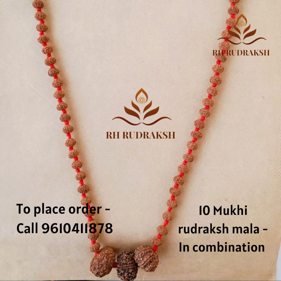 10 Mukhi Rudraksh Mala with 10 Mukhi Nepali Rudraksh Beads