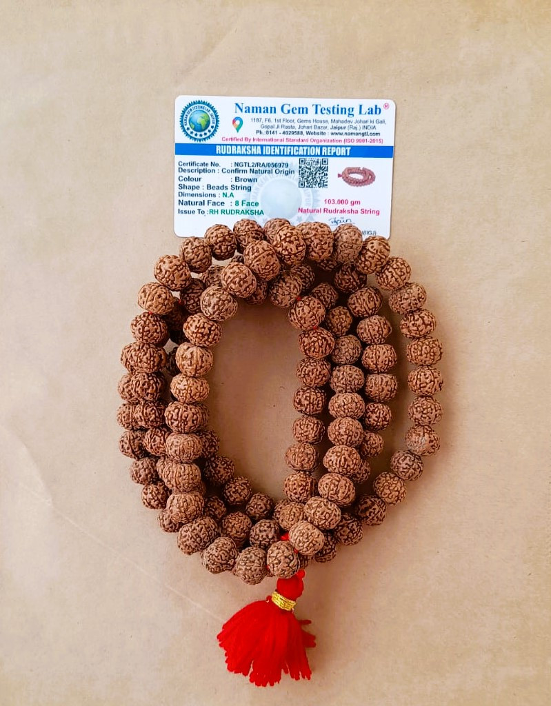 8 Mukhi Rudraksh Mala 12MM - 1081 Beads