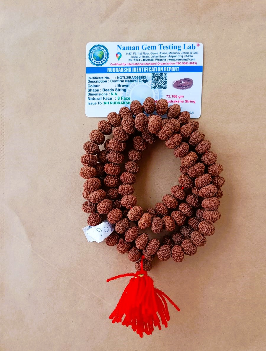 8 Mukhi Rudraksh Mala 10 MM - 1081 Beads