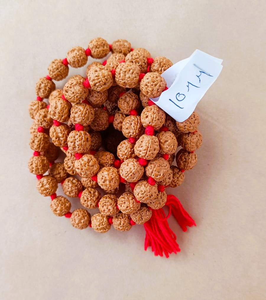 5 Mukhi Pathri Dana Premium Quality Rudraksh Mala 10 MM - 1081 Beads