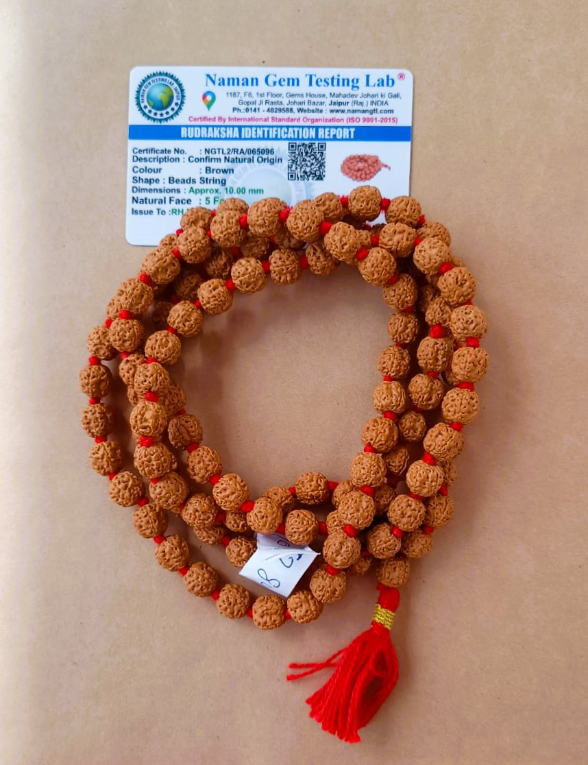 5 Mukhi Pathri Dana Premium Quality Rudraksh Mala 10 MM - 1081 Beads