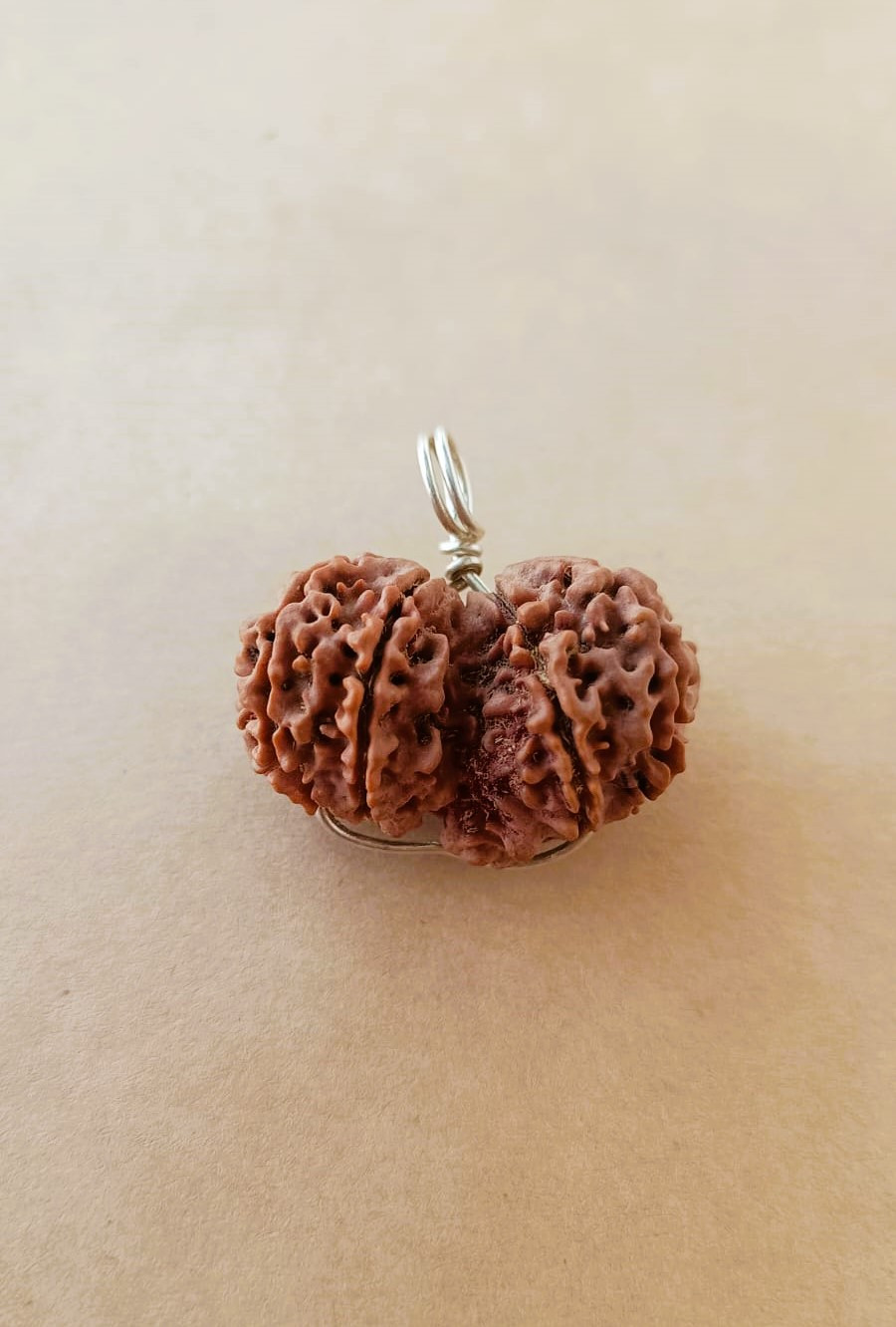 Natural Gauri Shankar Collector Rudraksh Nepali