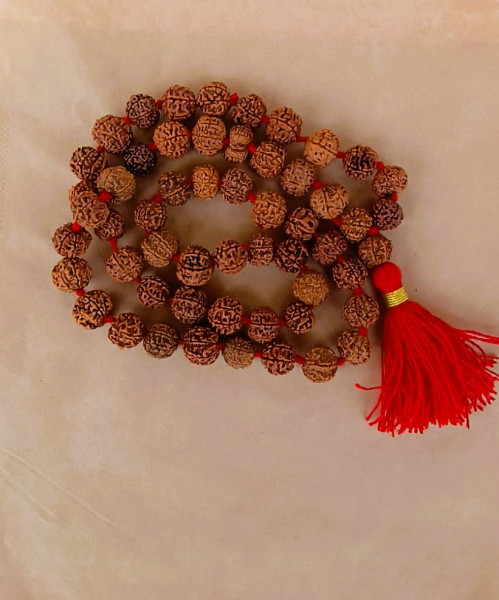 Image of 7 Mukhi Nepali Rudraksh Mala (Size-15 - 16MM Approx)  (54+1) Beads