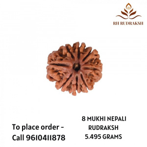 Image of Natural 8 Mukhi Collector Rudraksh (Nepali)
