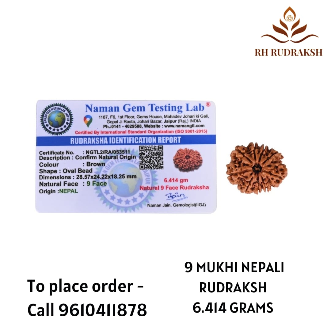 Natural 9 Mukhi Collector Rudraksh Nepali