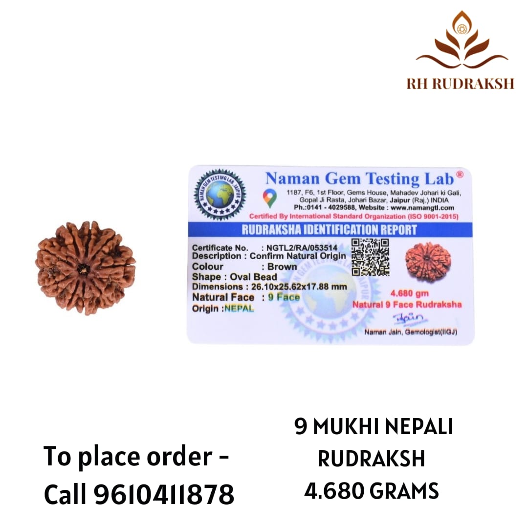 Natural 9 Mukhi Collector Rudraksh Nepali