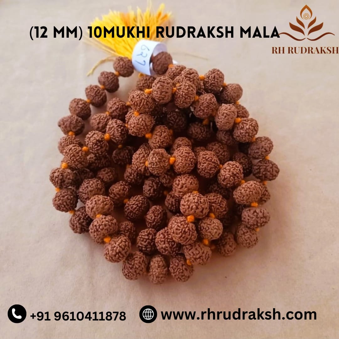 10 Mukhi Rudraksh Mala 12 MM