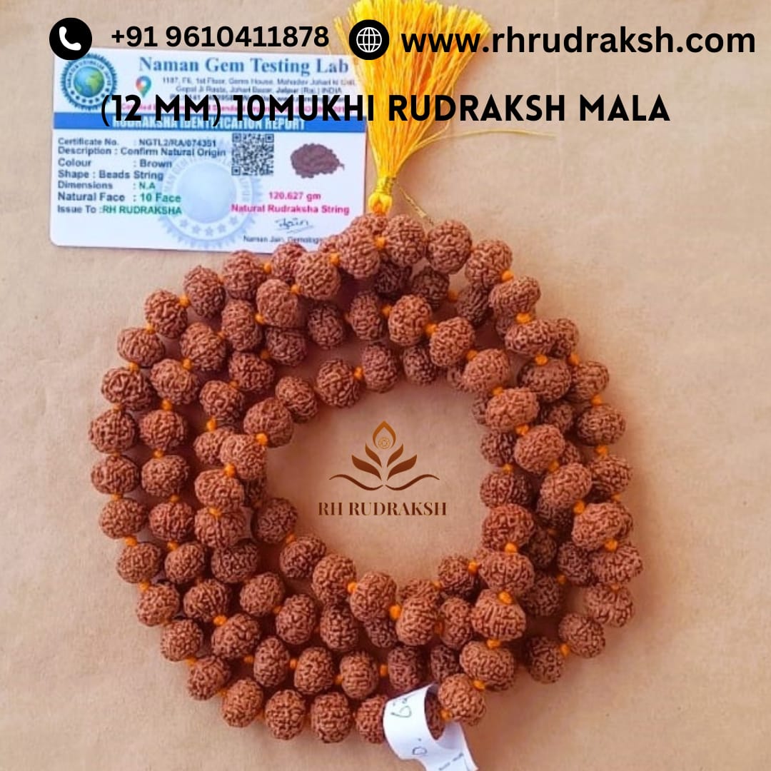 10 Mukhi Rudraksh Mala 12 MM