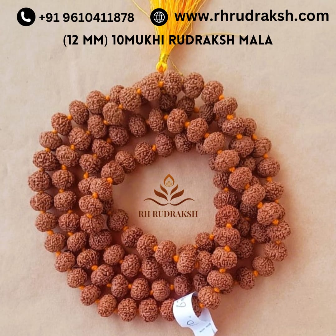 10 Mukhi Rudraksh Mala 12 MM