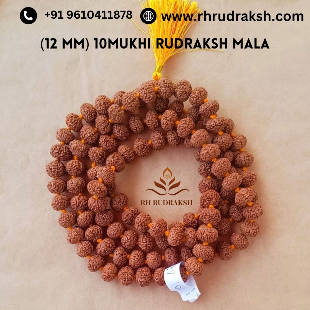 10 Mukhi Rudraksh Mala 12 MM