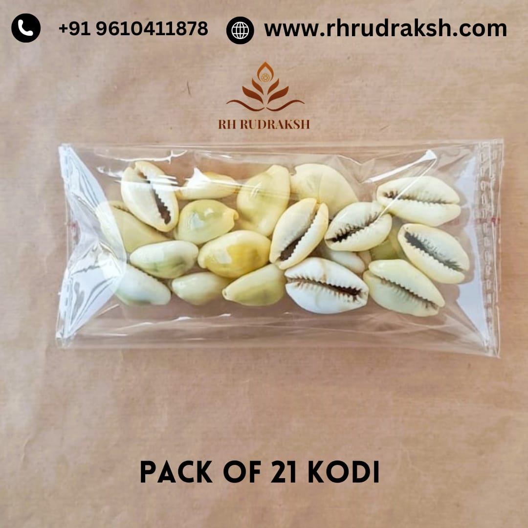 Pack of 21 Yellow Cowrie Kodi