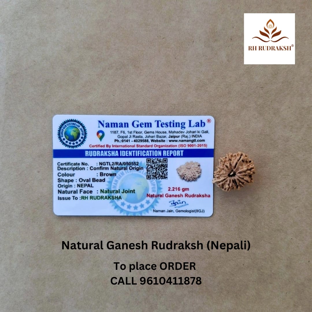 Natural Ganesh 10 Mukhi Rudraksh Nepali