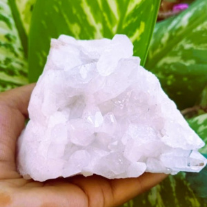 Image of Clear Quartz Cluster - 587 Grams