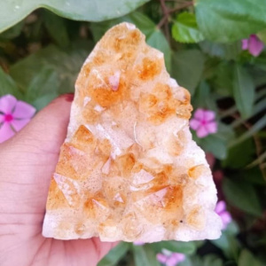 Image of Yellow Citrine Cluster - 402.30 Grams
