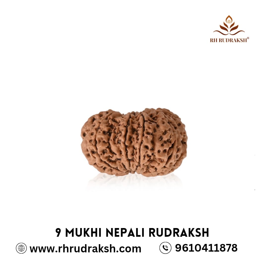 Natural 9 Mukhi Rudraksh Nepali