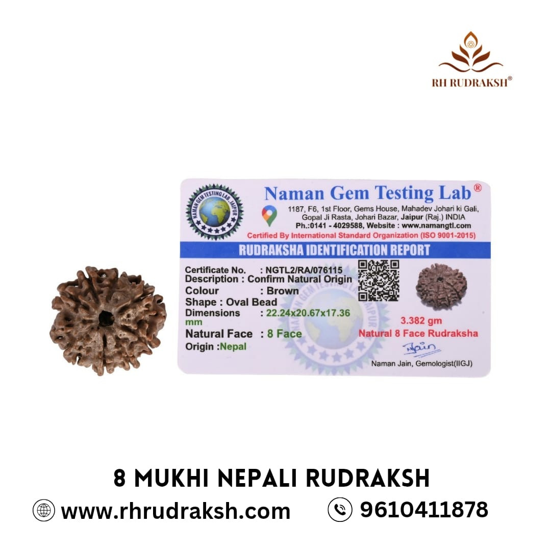 Natural 8 Mukhi Rudraksh Nepali