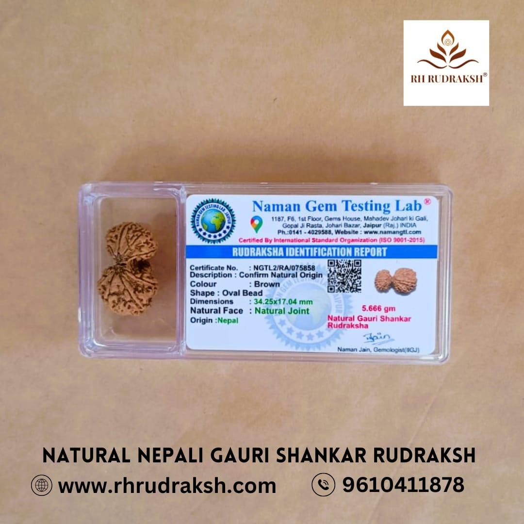 Natural Gauri Shankar Collector Rudraksh Nepali