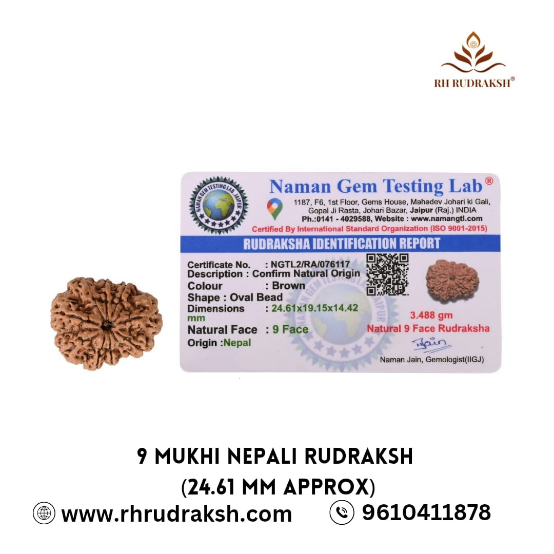Natural 9 Mukhi Rudraksh Nepali