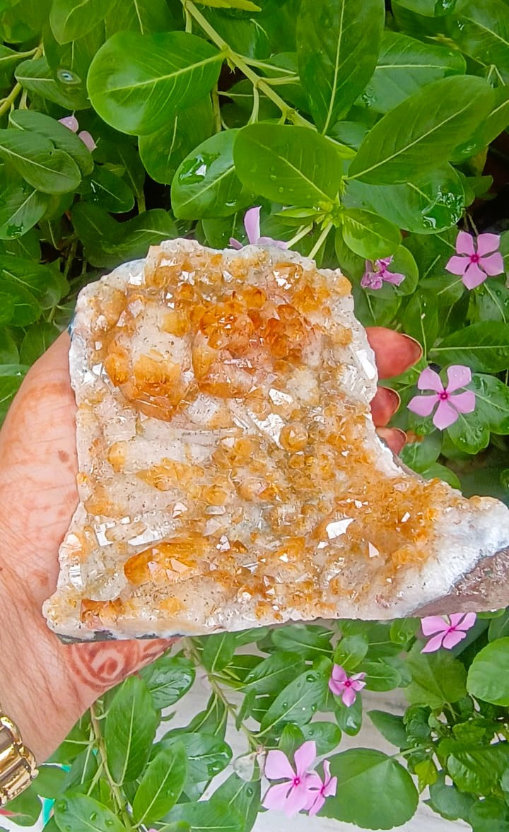 Yellow Citrine Cluster - 579 Grams