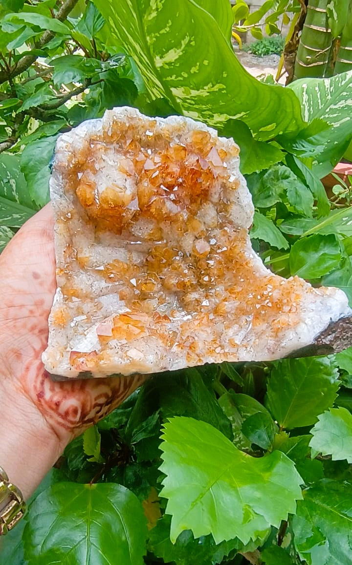 Yellow Citrine Cluster - 579 Grams