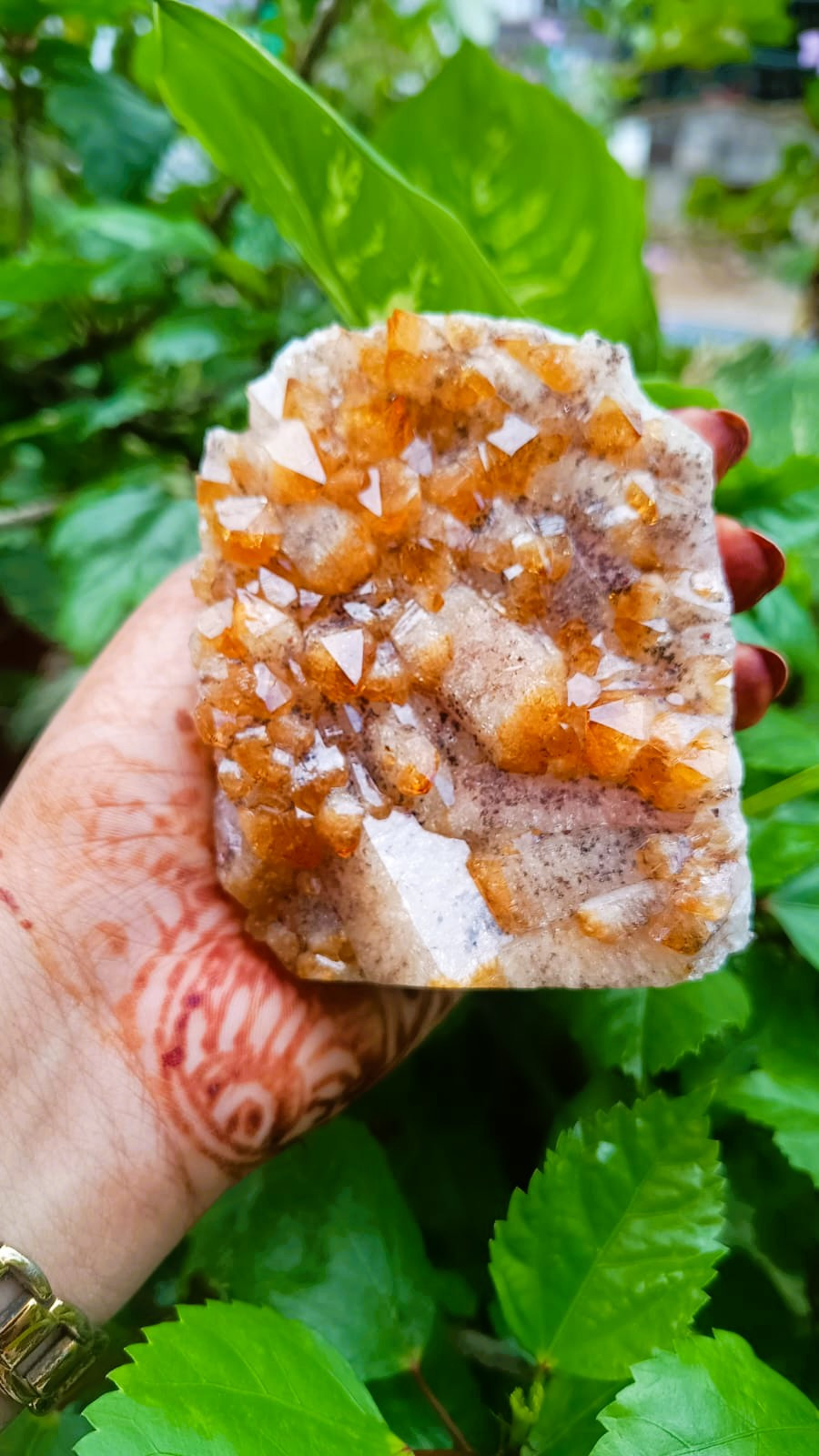 Yellow Citrine Cluster - 51150 Grams