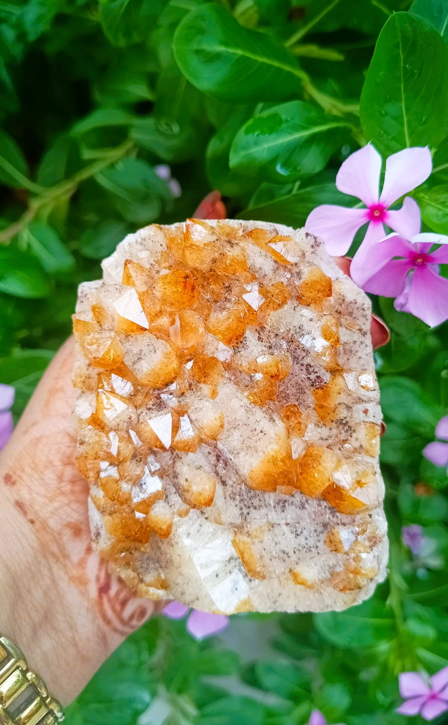 Yellow Citrine Cluster - 51150 Grams