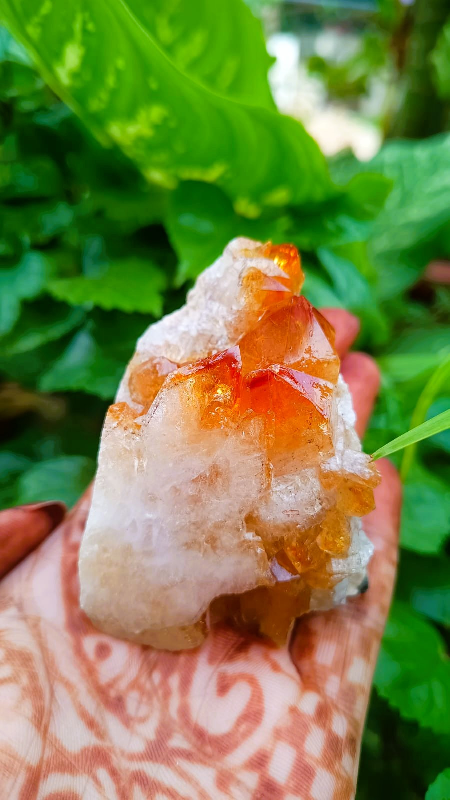 Yellow Citrine Cluster - 17320 Grams
