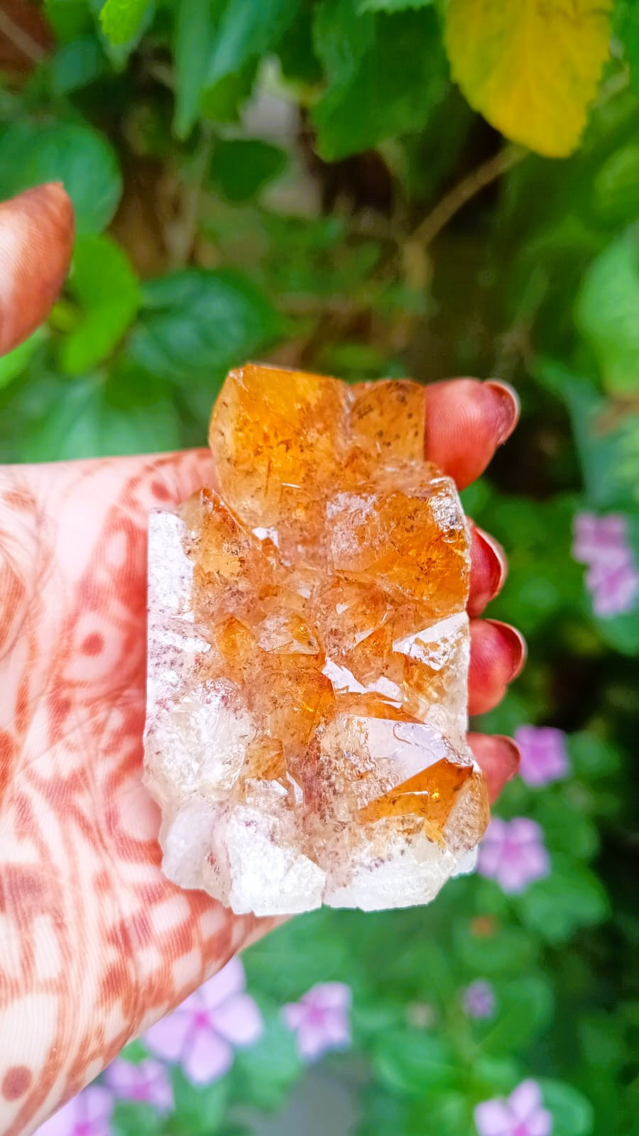Yellow Citrine Cluster - 15910 Grams