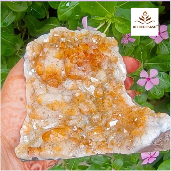 Image of Yellow Citrine Cluster - 579 Grams