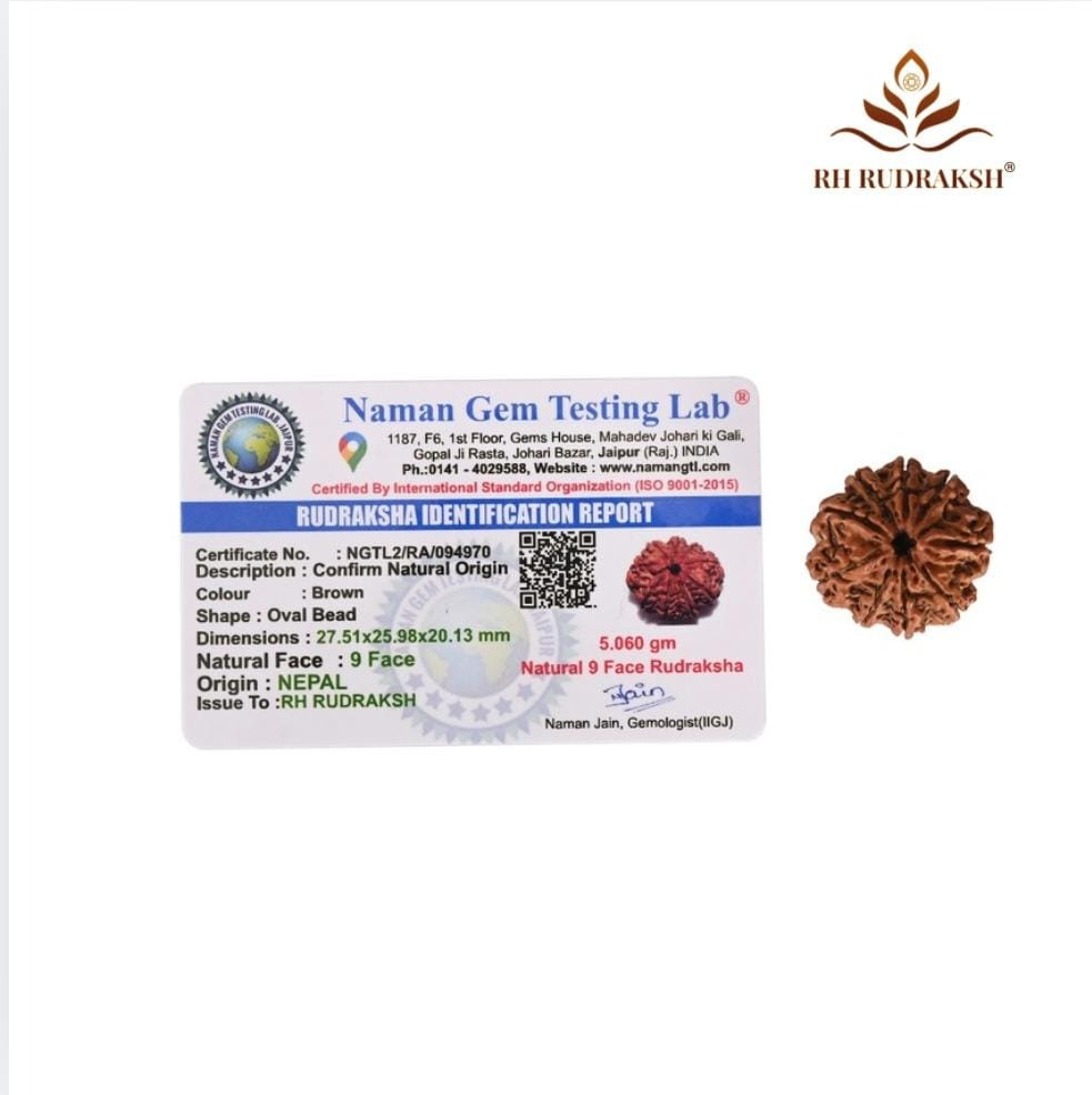 Natural 9 Mukhi Collector Rudraksh Nepali
