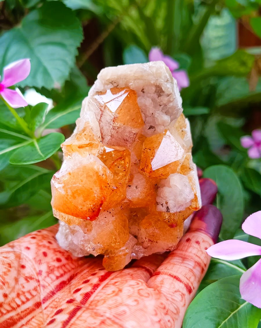 Yellow Citrine Cluster - 25320 Grams