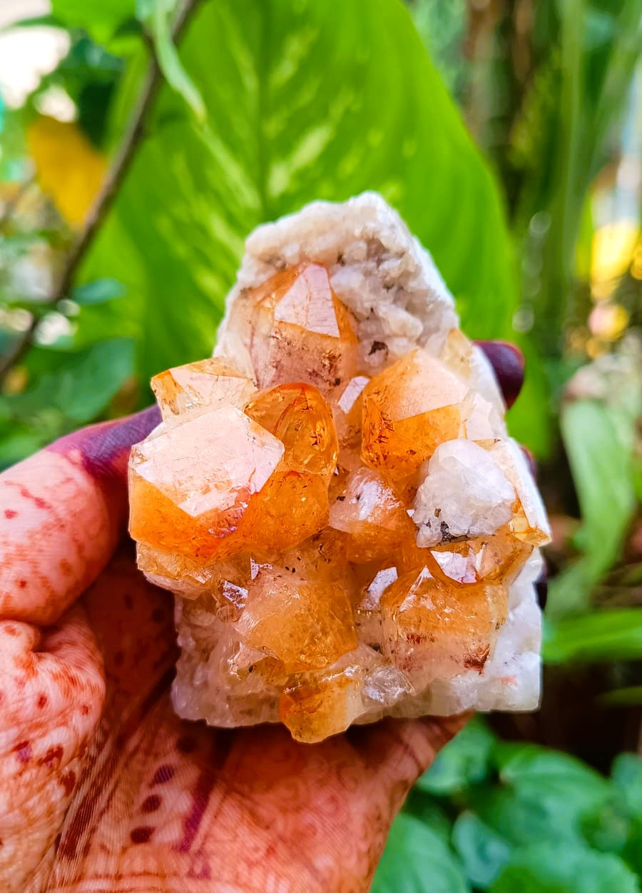 Yellow Citrine Cluster - 25320 Grams